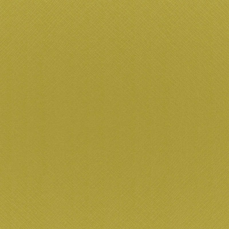 FB006017_1