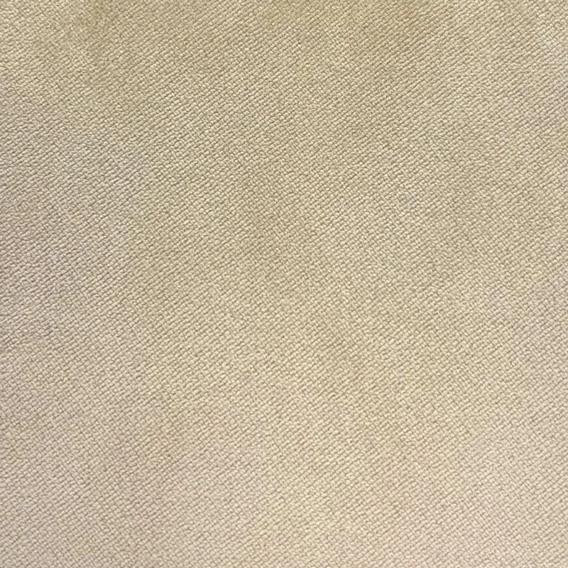 FB006499.jpg	
