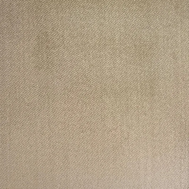 FB006502.jpg	
