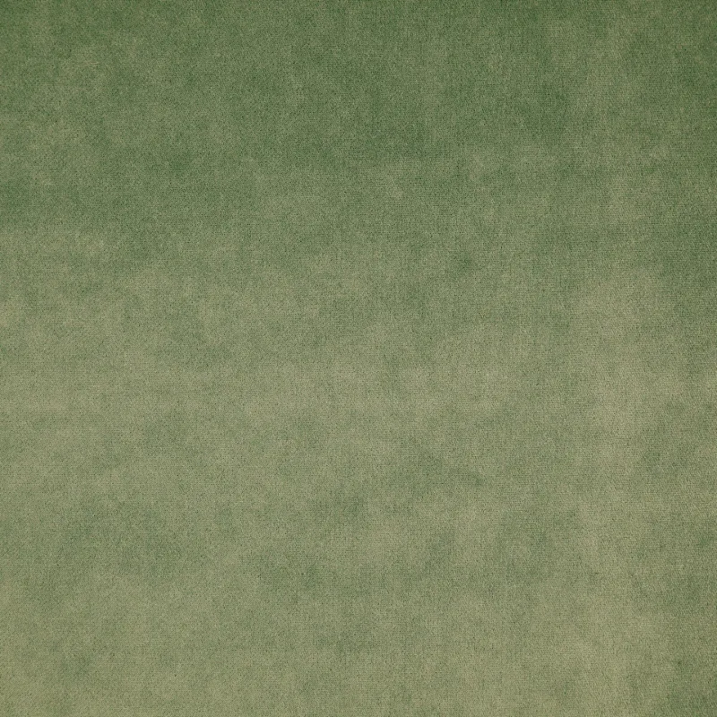 FB005343.jpg	