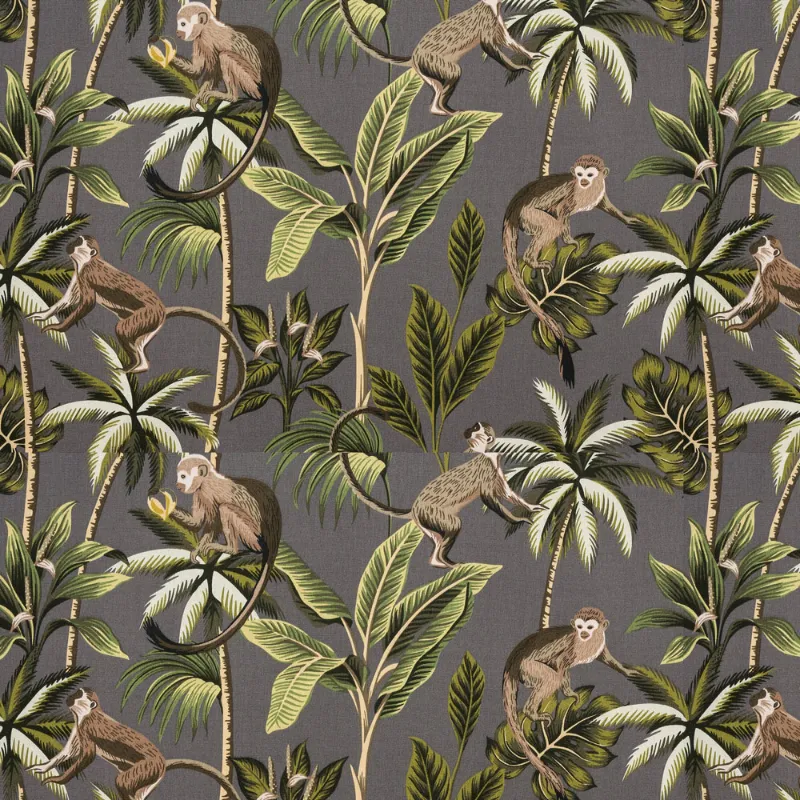 paloma-0947-jungle