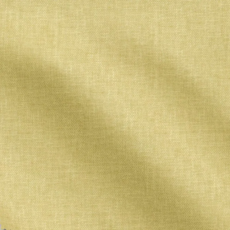 Image de THRIVE | 0530 MARIGOLD