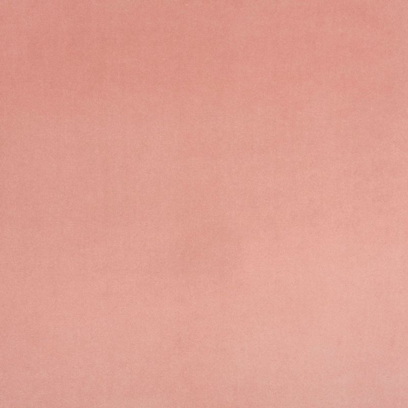 Picture of DUCHESS | 0657 BLUSH