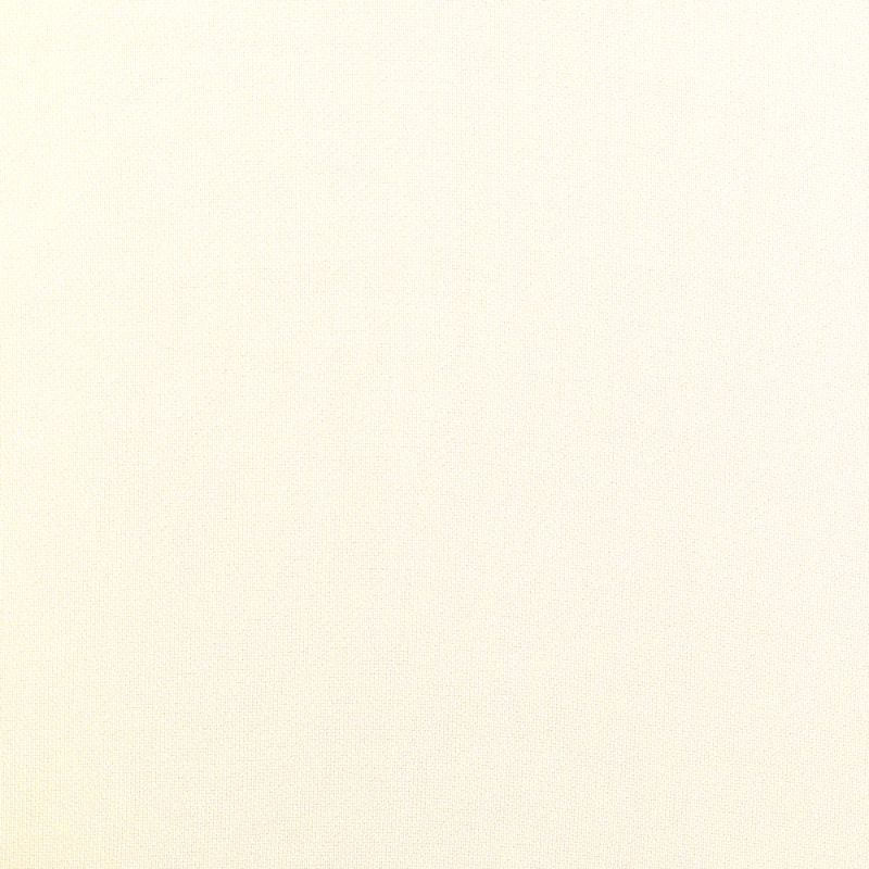 Picture of REEF | 101 WINTER WHITE