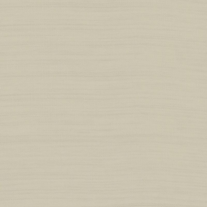 Picture of VANISH | 0202 LIGHT TAUPE