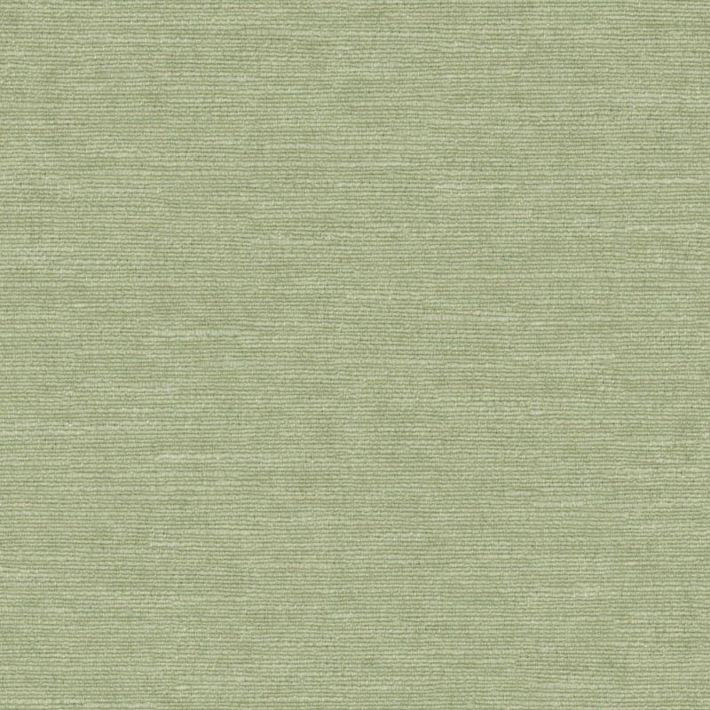 Picture of DOLCE | 0964 OLIVE