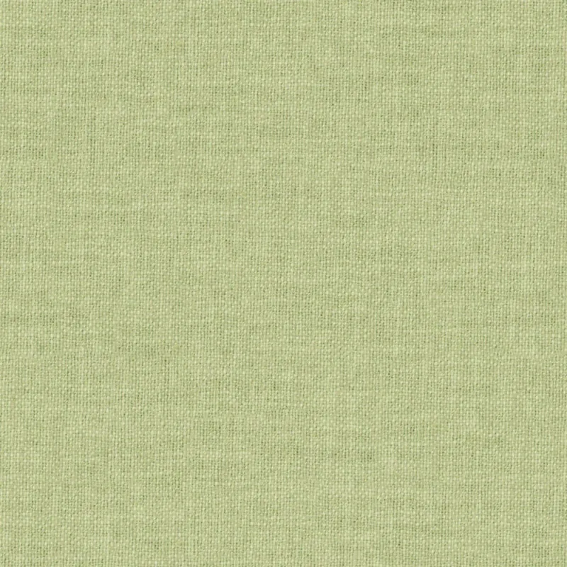 Image de ESQUIRE | 0912 CELERY