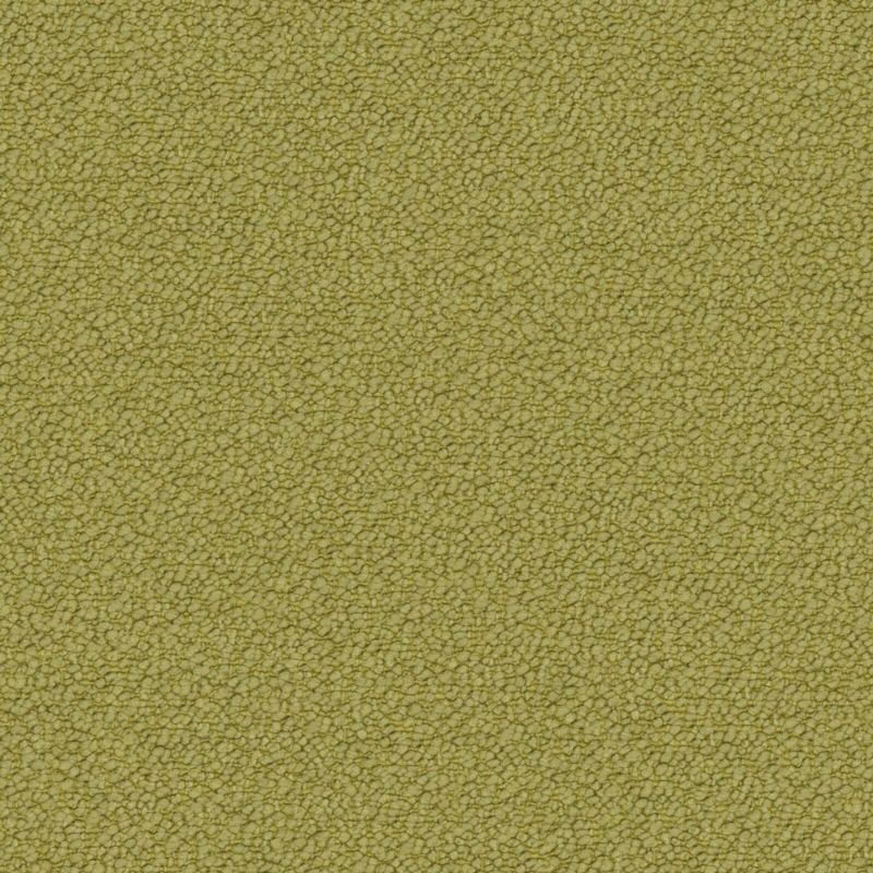 Picture of AWARE | 0951 KIWI