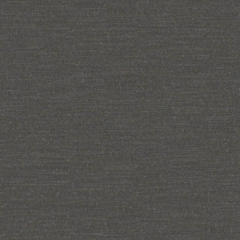 Picture of COMET | 0450 ANISE