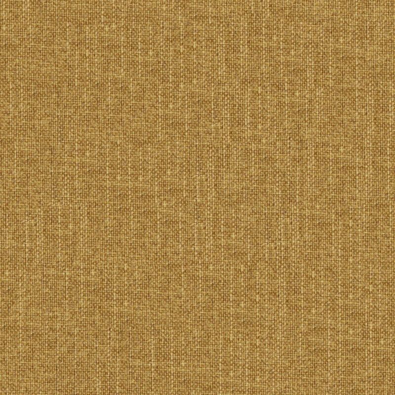 Picture of ASTEROID | 5045 TUMERIC