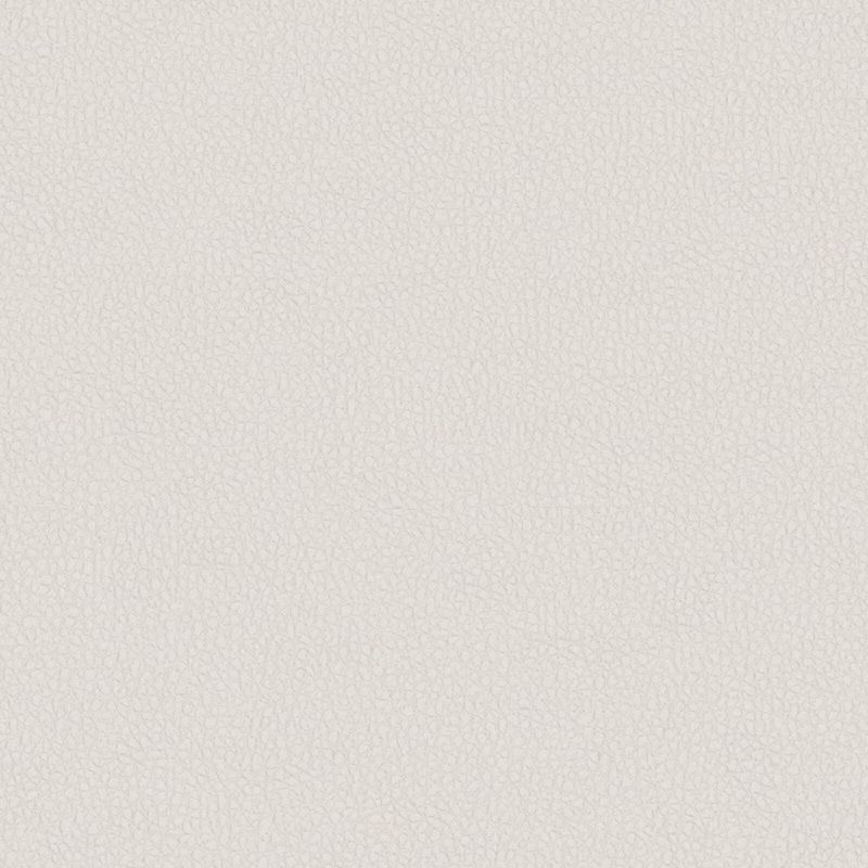 Picture of CYCLE | 0405 ASH