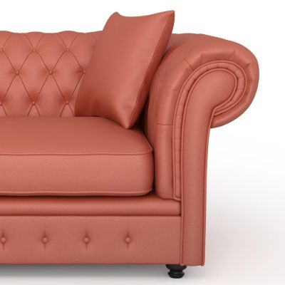 Picture of CYCLE | 0569 PAPAYA