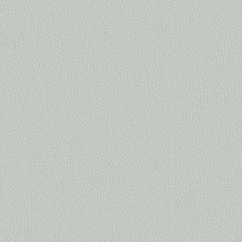 Picture of CYCLE | 0843 DRIFT