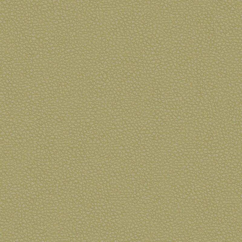 Picture of CYCLE | 0980 SAGE