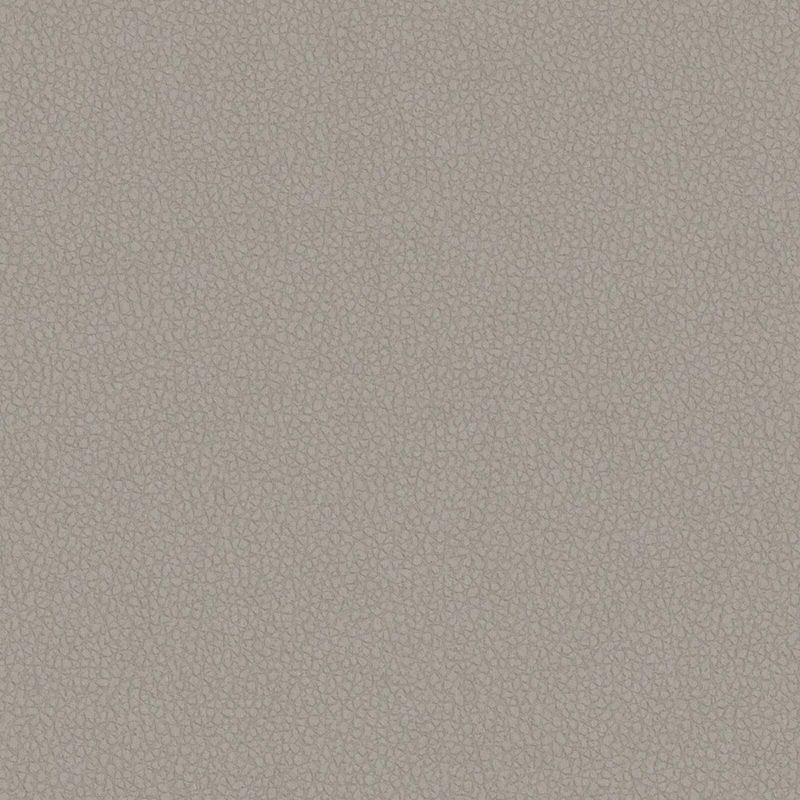 Picture of CYCLE | 4094 TITANIUM