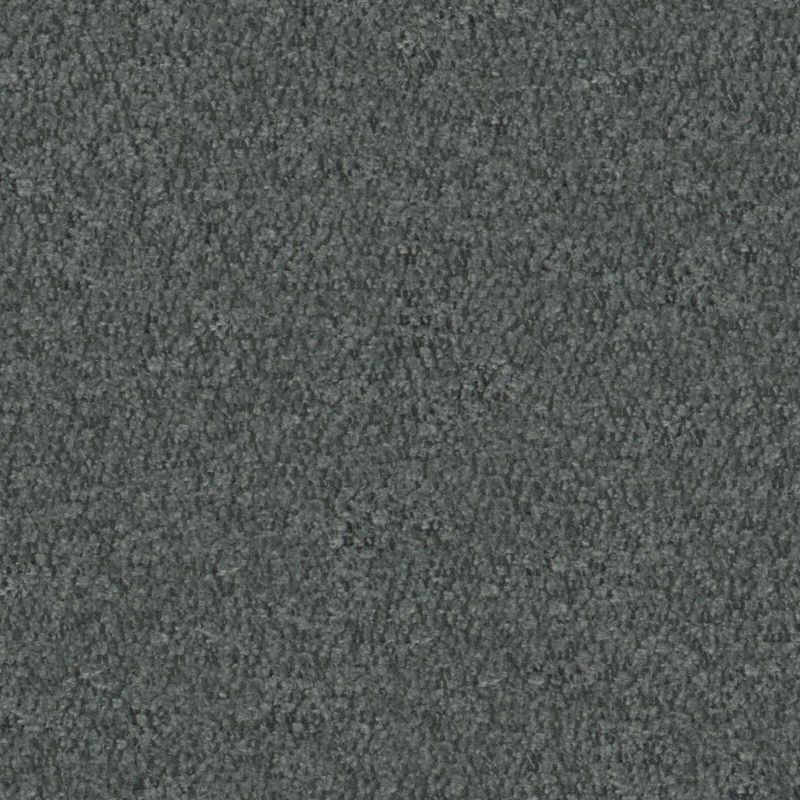 Picture of PLUME | 0465 MIDNIGHT