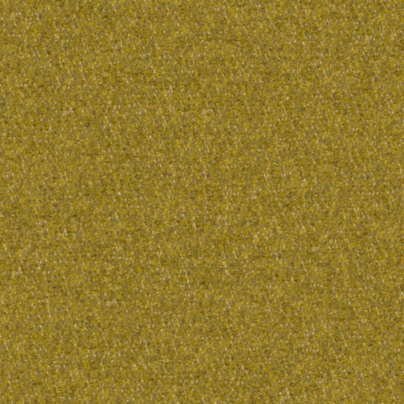 Picture of PLUME | 0907 AVOCADO