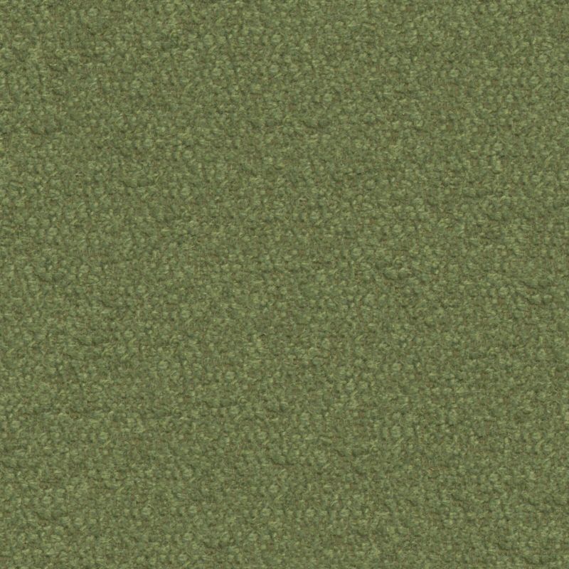 Picture of PLUME | 0964 OLIVE