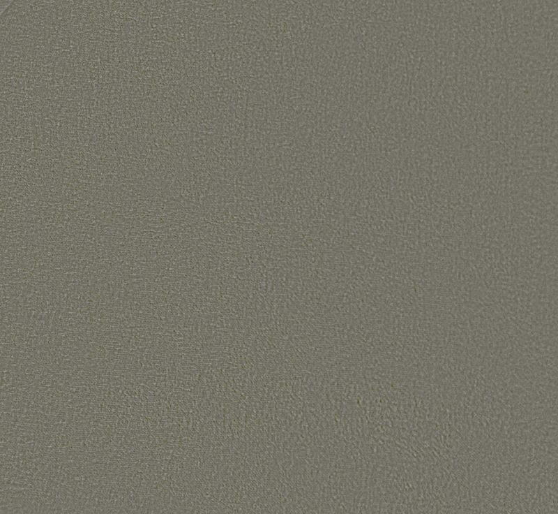 Picture of EMBRACE | 0438 FEATHER