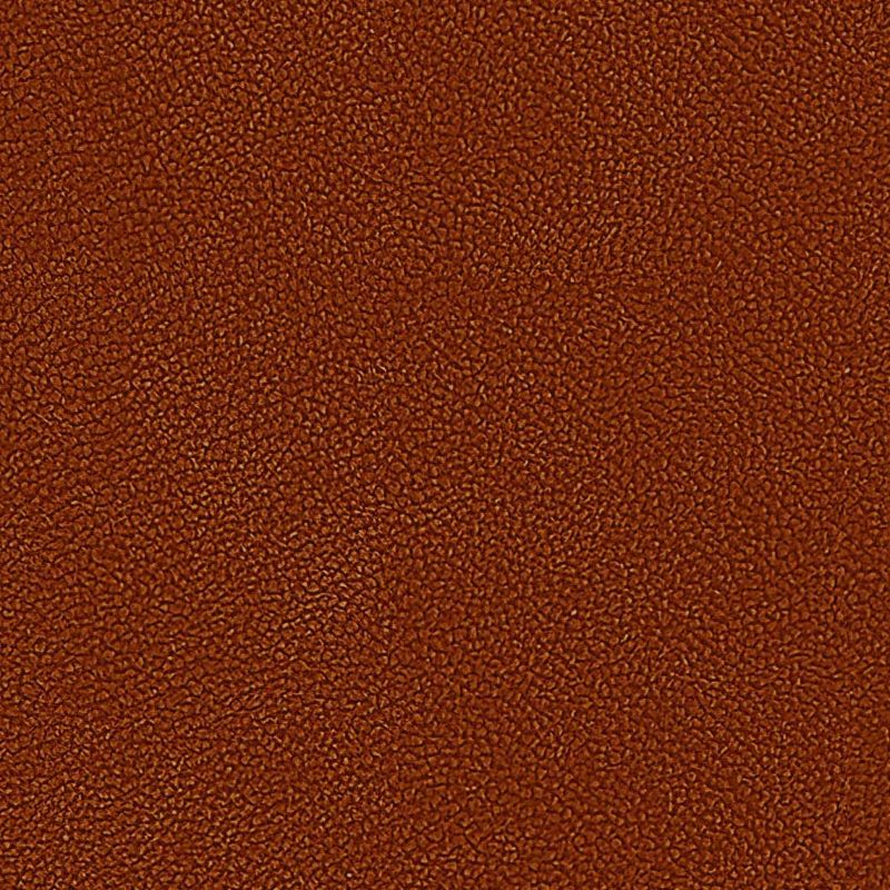 Picture of EMBRACE | 0341 COGNAC