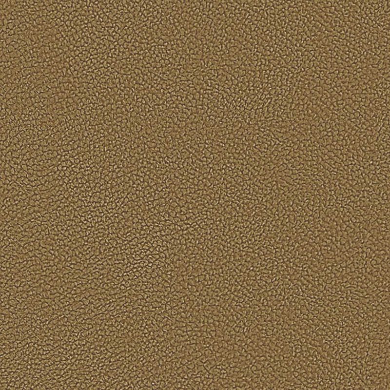 Picture of EMBRACE | 0322 CAMEL