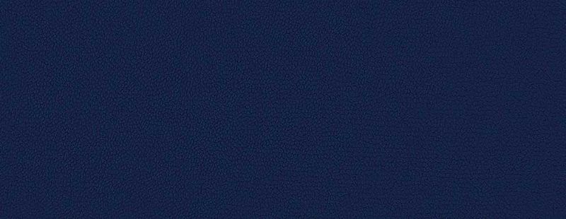 Picture of EMBRACE | 0848 INDIGO