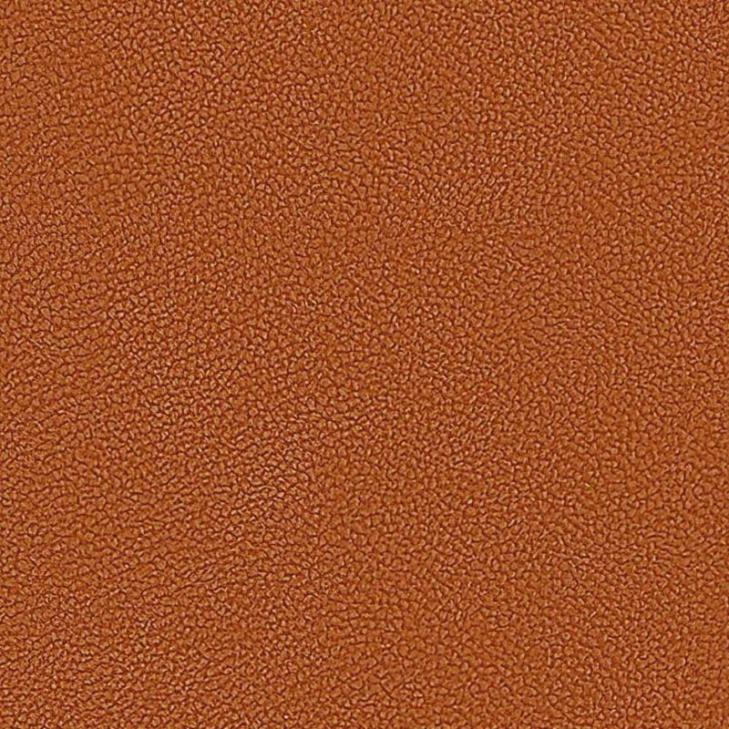 Picture of EMBRACE | 0575 SQUASH