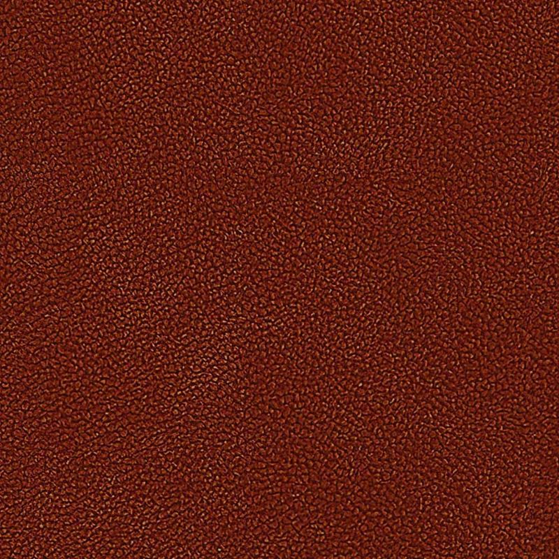 Picture of EMBRACE | 0574 SIENNA