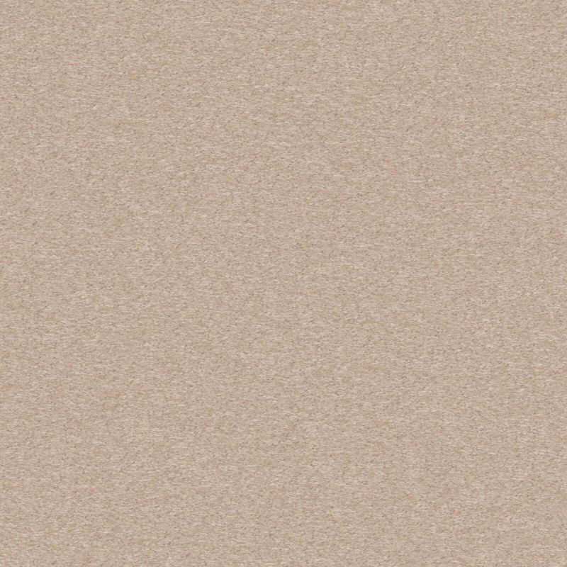 Picture of SOLSTICE | 0325 CAPPUCCINO