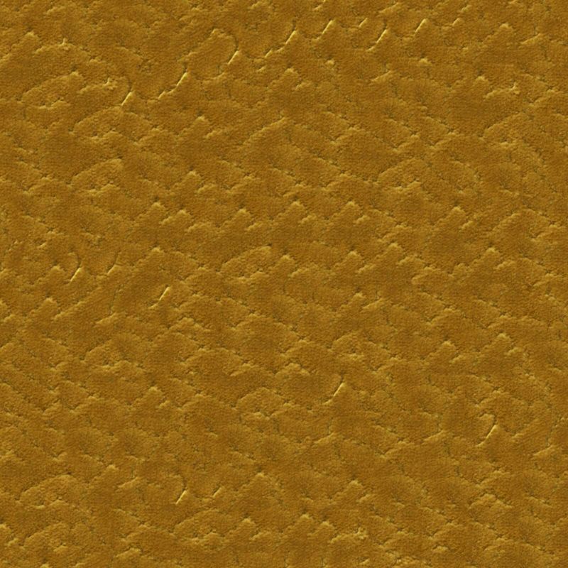 Picture of PRINCE | 0509 CURRY