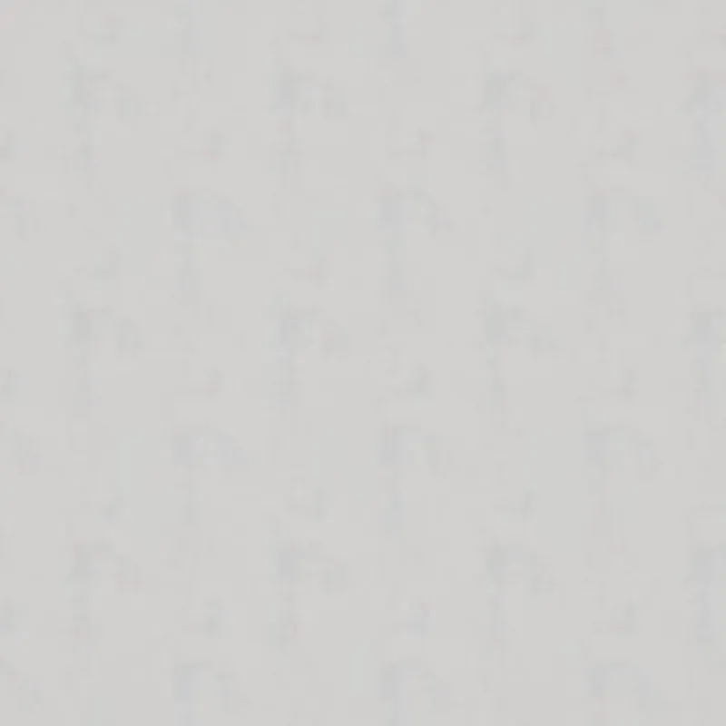 CANVAS | 0123 ICE