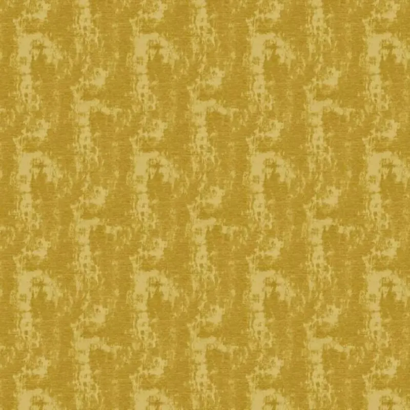 CANVAS | 0509 CURRY