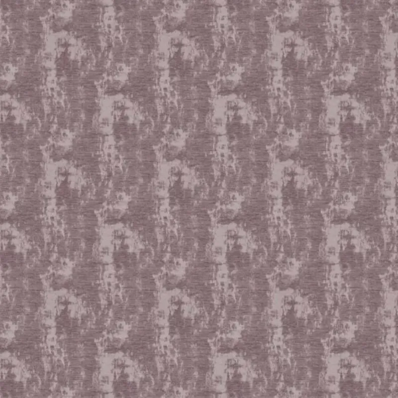 CANVAS | 0738 VIOLA