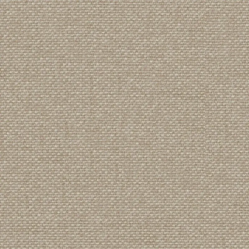 ONGOING | 0322 CAMEL
