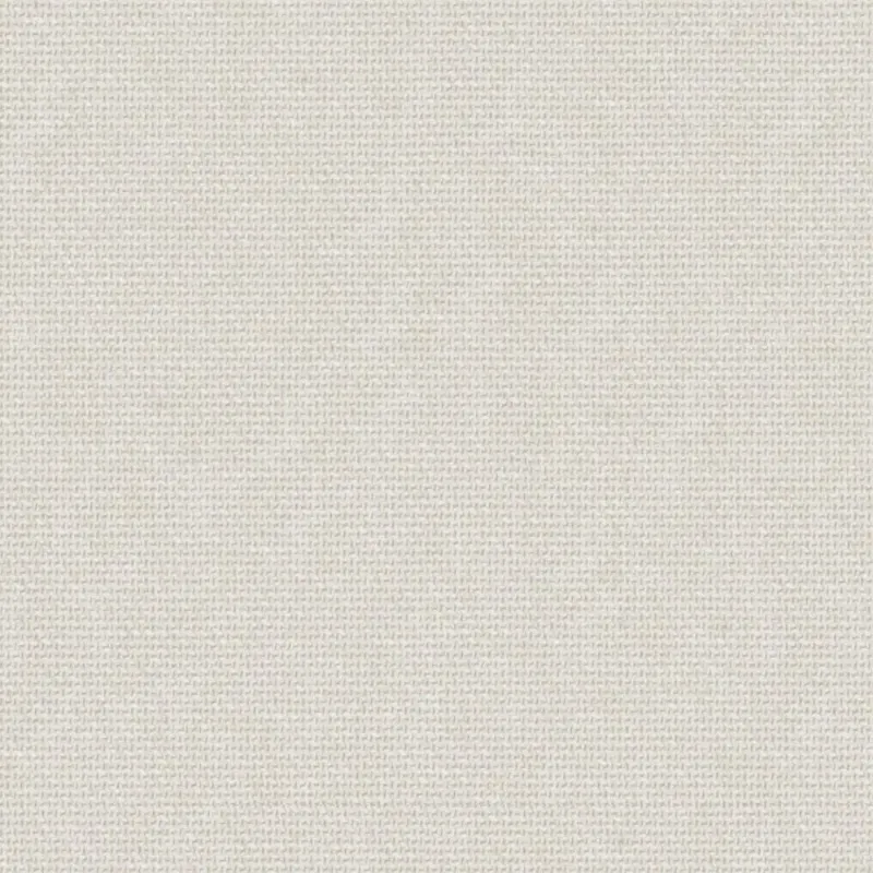 ORDINARY | 0222 BONE