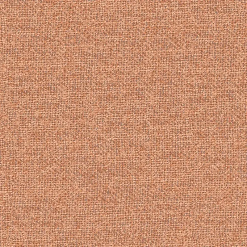 INTERLACE | 0684 SALMON
