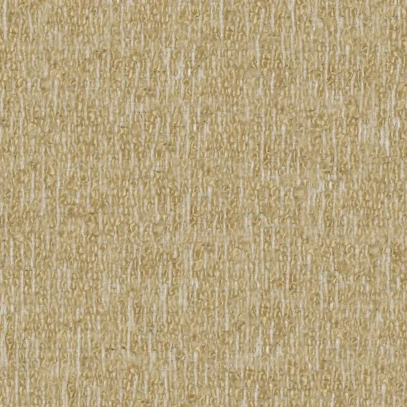 AREA | 0282 HORN