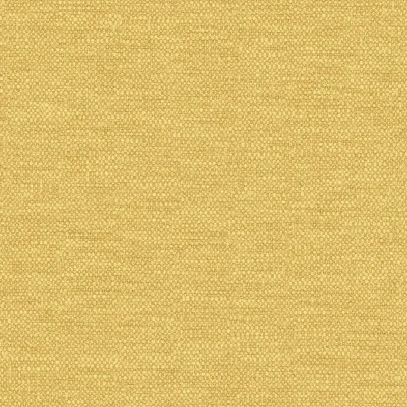 FRAME | 0523 HONEY