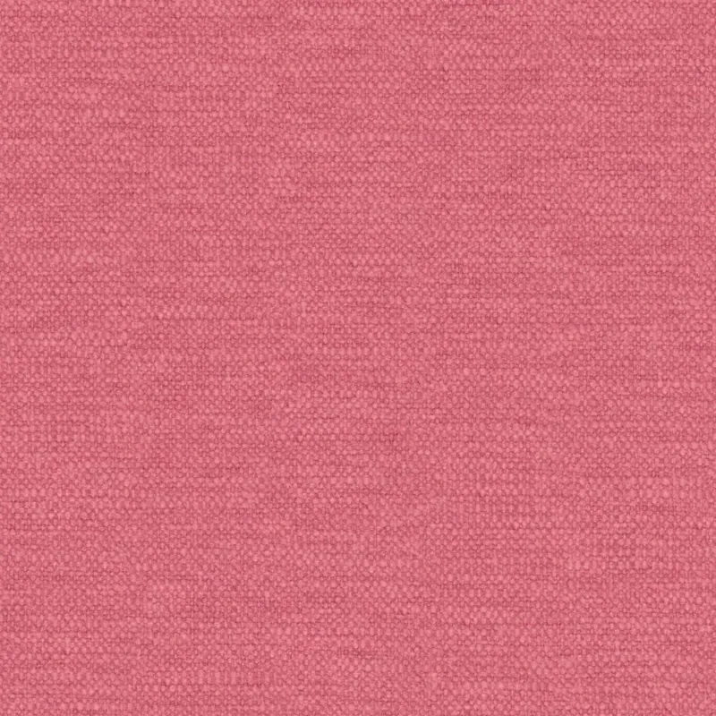 FRAME | 0655 BEGONIA