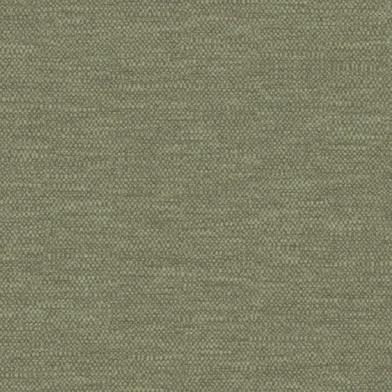 FRAME | 0930 FERN