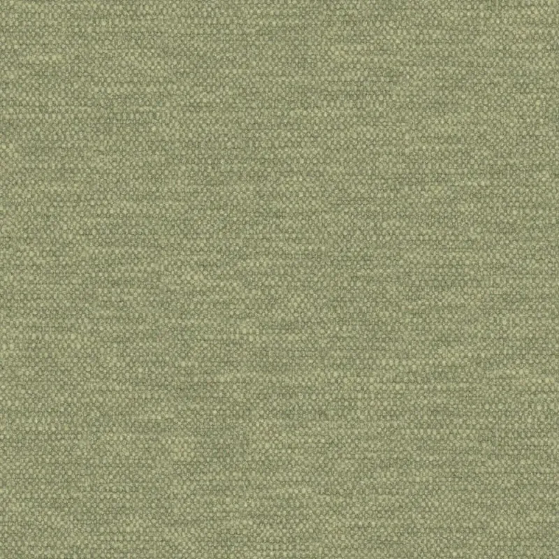 FRAME | 0943 IVY